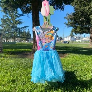 Blue Cinderella dress